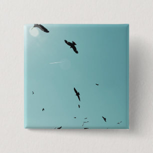 Viele Vögel und ein Kontrastmittel Button