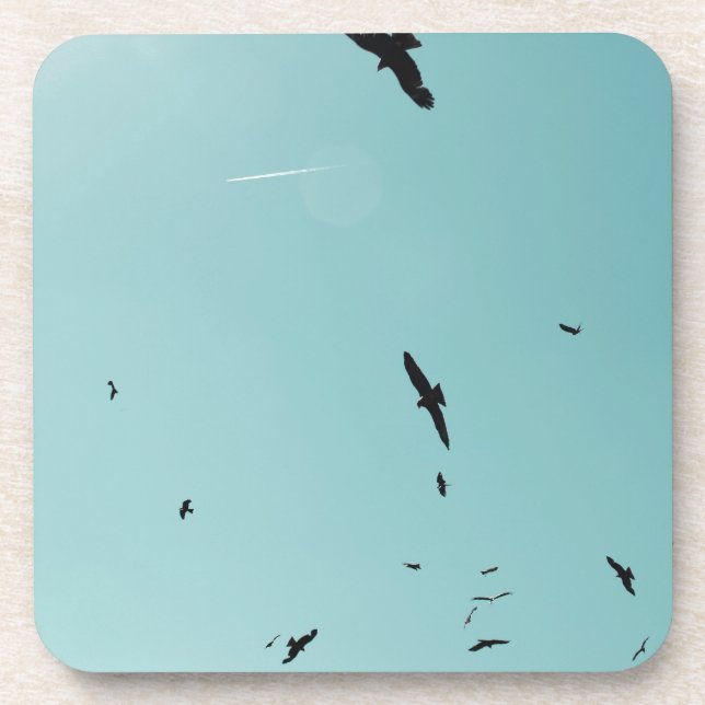 Viele Vögel und ein Kontrastmittel Getränkeuntersetzer (Vorderseite)