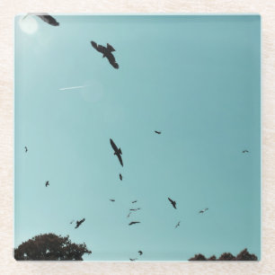 Viele Vögel und ein Kontrastmittel Glasuntersetzer