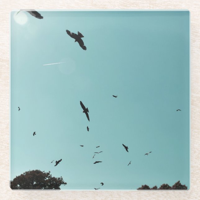 Viele Vögel und ein Kontrastmittel Glasuntersetzer (Vorderseite)