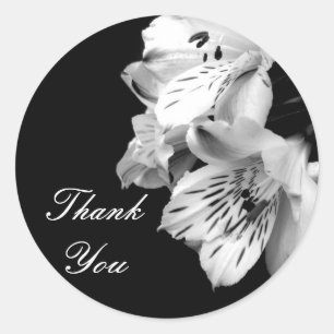 Vielen Dank Alstroemeria Lily Sticker