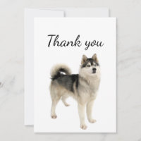 Vielen Dank, American Eskimo Malamute Dog Tier
