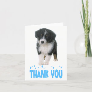 Vielen Dank an Australian Shepherd Puppy Dog Dankeskarte