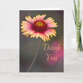 Vielen Dank an Dasies Dankeskarte