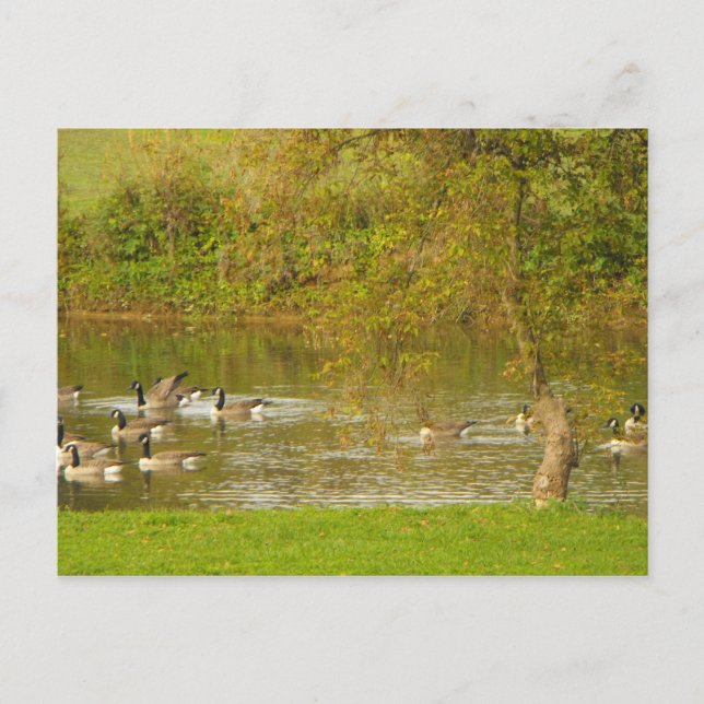 Vielen Dank an einen Soldaten. Postkarte (Vorderseite)