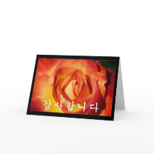 Vielen Dank auf Koreanisch - orange Rose