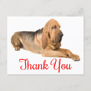 Vielen Dank Bloodhound Puppy-Hund Postkarte