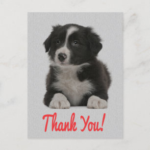 Vielen Dank Border Collie Welpe Doppy Post Card Postkarte