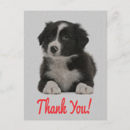 Vielen Dank Border Collie Welpe Doppy Post Card Postkarte