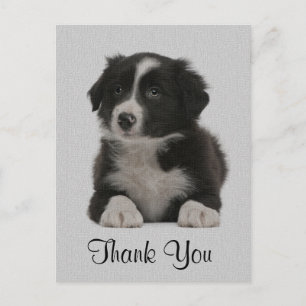 Vielen Dank Border Collie Welpe Doppy Post Card Postkarte