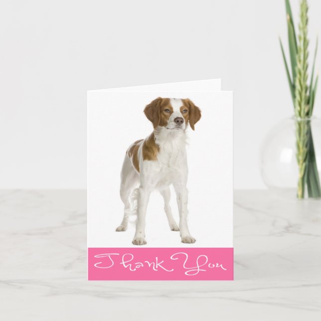 Vielen Dank Brittany Spanisch Welpe Hund Note Card Dankeskarte (Vorderseite)