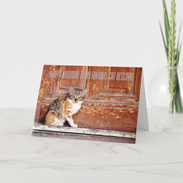 Vielen Dank Cat Rescuer Grußkarte Dankeskarte (Vorderseite)