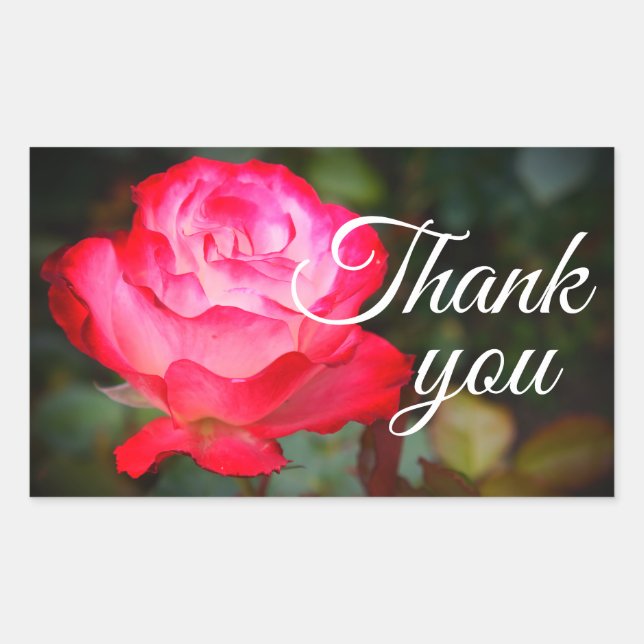 Vielen Dank, Cherry Parfait Rose #3 Stickers (Vorderseite)