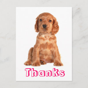Vielen Dank Cocker Spanisch Welpe Hund Postkarte