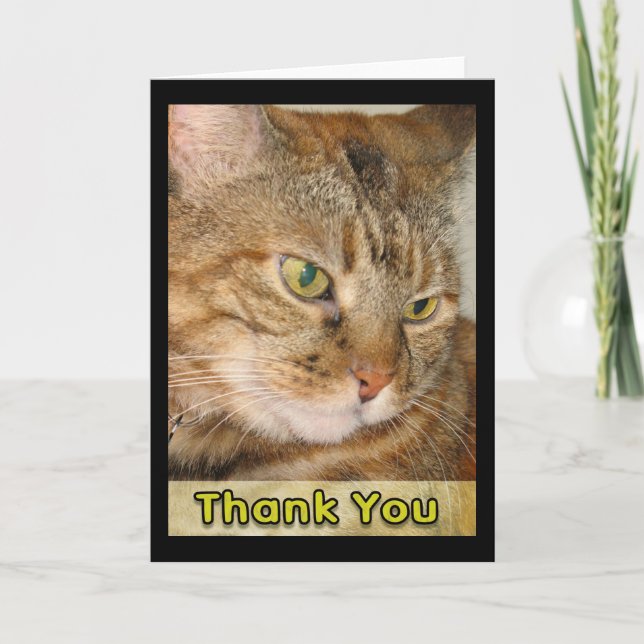 Vielen Dank Dankeskarte (Vorderseite)