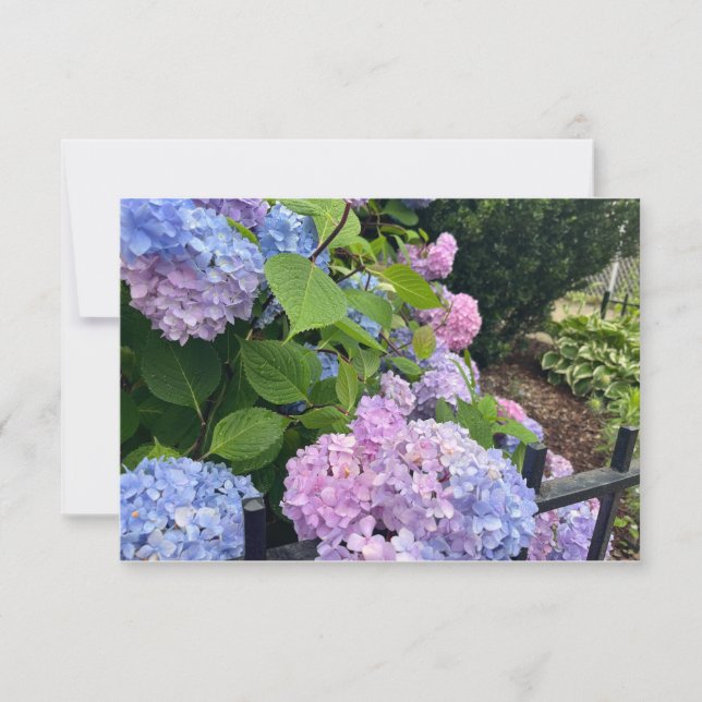 Vielen Dank .. Dankeskarte (Vorderseite)