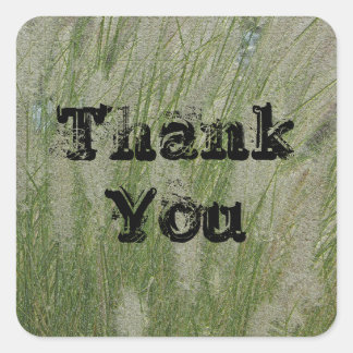 Vielen Dank, dass Sie die Wüstengras hochschätzen Quadratischer Aufkleber