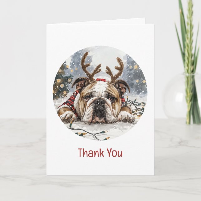 Vielen Dank, dass Sie Weihnachten English Bulldog  Dankeskarte (Vorderseite)