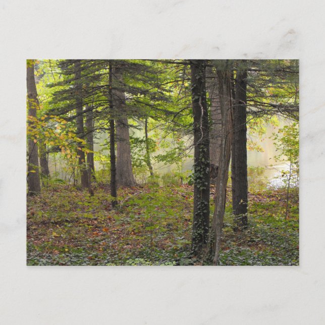 Vielen Dank, DSCF7047 Postkarte (Vorderseite)