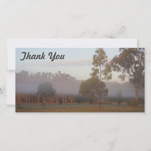 Vielen Dank Fotokarte - Kangaroos im Nebel Dankeskarte