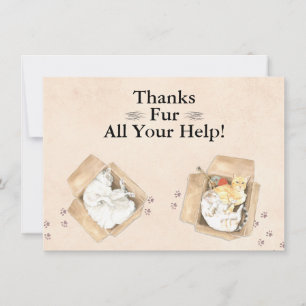 Vielen Dank für all Ihre Hilfe! Katzen in Boxen, D Dankeskarte