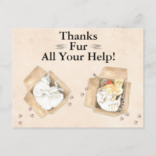 Vielen Dank für all Ihre Hilfe! Katzen in Boxen, D Postkarte