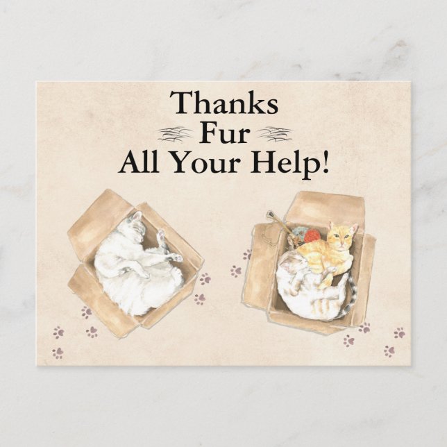 Vielen Dank für all Ihre Hilfe! Katzen in Boxen, D Postkarte (Vorderseite)