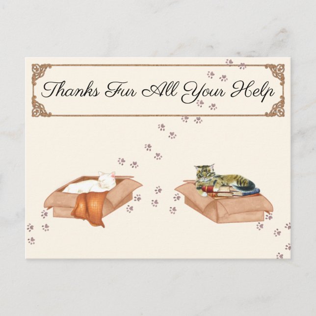 Vielen Dank für all Ihre Hilfe! Katzen in Kisten,  Postkarte (Vorderseite)