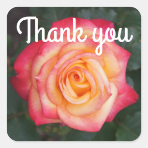 Vielen Dank für Ihr Interesse an Come True Rose #1 Quadratischer Aufkleber