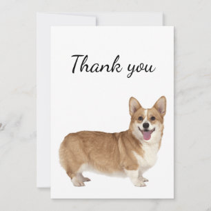 Vielen Dank für Ihr Interesse an Corgi Dog Tier Dankeskarte