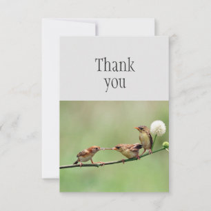 Vielen Dank für Ihr Niedliches Bird Partybaby Bird Dankeskarte
