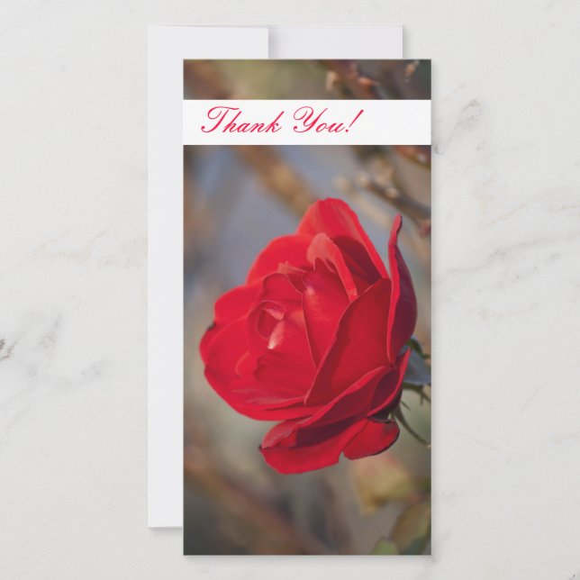 Vielen Dank für Ihre Fotokarte Dankeskarte (Vorderseite)