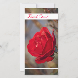 Vielen Dank für Ihre Fotokarte Dankeskarte