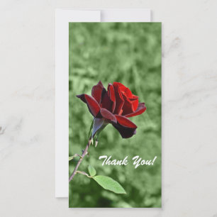 Vielen Dank für Ihre Fotokarte Dankeskarte