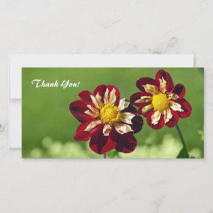 Vielen Dank für Ihre Fotokarte Dankeskarte