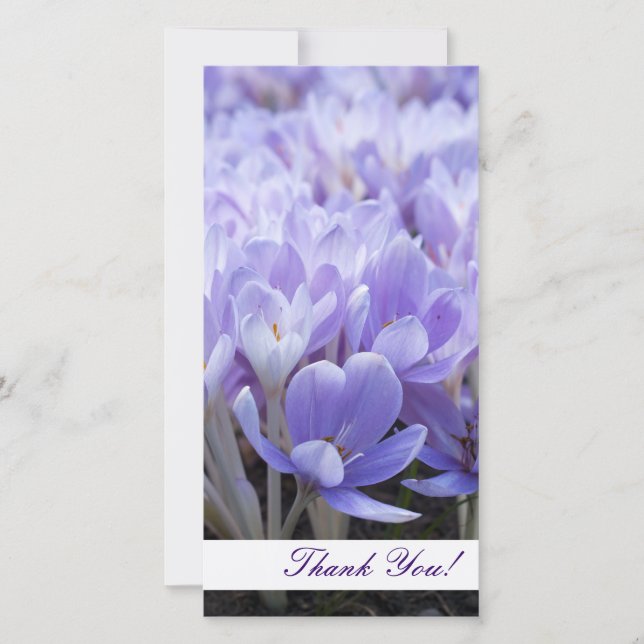 Vielen Dank für Ihre Fotokarte Dankeskarte (Vorderseite)