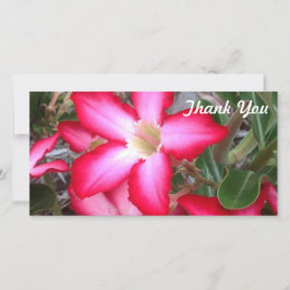 Vielen Dank für Ihre Fotokarte - Wüste Rose Dankeskarte