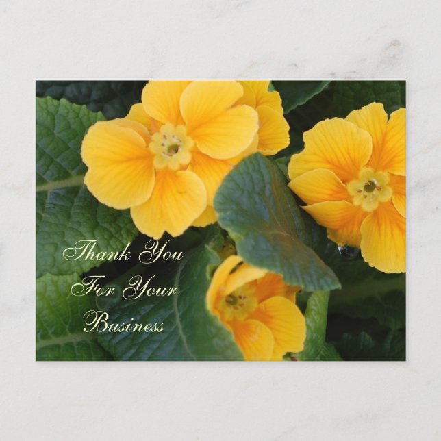 Vielen Dank für Ihre Visitenkarte Postkarte (Vorderseite)