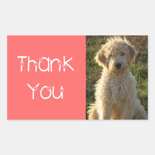 Vielen Dank Goldendoodle Puppy Hund Sticker / Labe (Vorderseite)