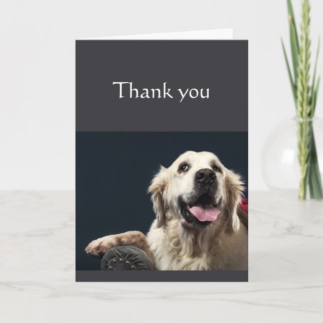 Vielen Dank hätte ohne euch Spaß Hund nicht gescha Karte (Vorderseite)