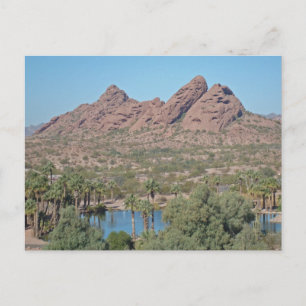 Vielen Dank, House Guest Desert Vacation Wertschät Postkarte