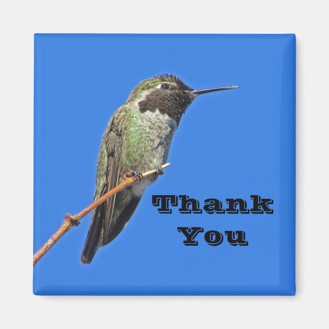 Vielen Dank Hummingbird Foto Nature Apprecision Magnet (Vorne)