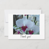 Vielen Dank Karte mit lila Orchideen