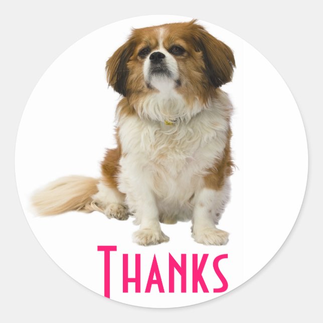 Vielen Dank, King Charles Spaniel Welppy Sticker (Vorderseite)