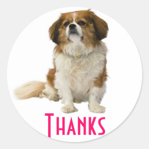 Vielen Dank, King Charles Spaniel Welppy Sticker