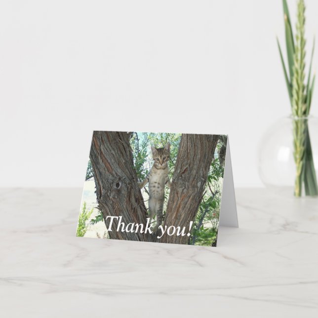 Vielen Dank, Kitty Cat Note Card Dankeskarte (Vorderseite)