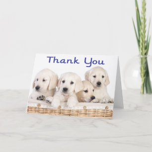 Vielen Dank Labrador Retriever Puppy Hunde Card Dankeskarte
