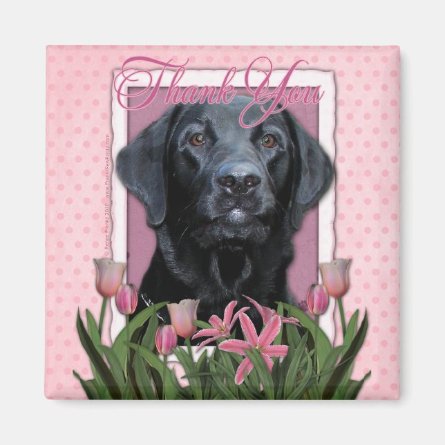 Vielen Dank - Labrador - Schwarz - Grafik Magnet (Vorne)