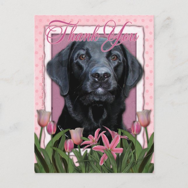 Vielen Dank - Labrador - Schwarz - Grafik Postkarte (Vorderseite)