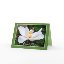 Vielen Dank Magnolia und Honeybees Green Frame Car